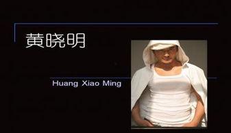 明星黑料ppt,PPT背后的真相与反思